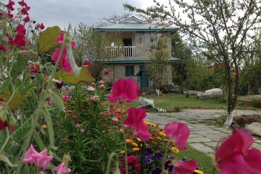 Nagri Resort Pālampur Exteriör bild