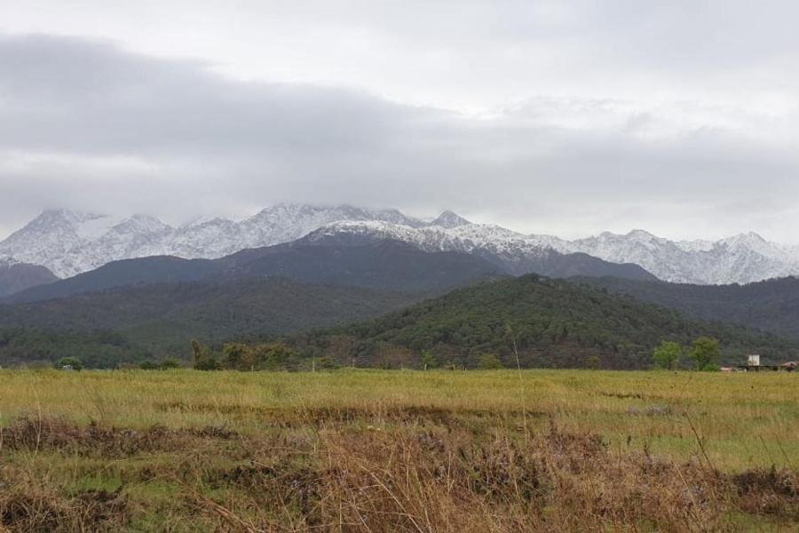 Nagri Resort Pālampur Exteriör bild