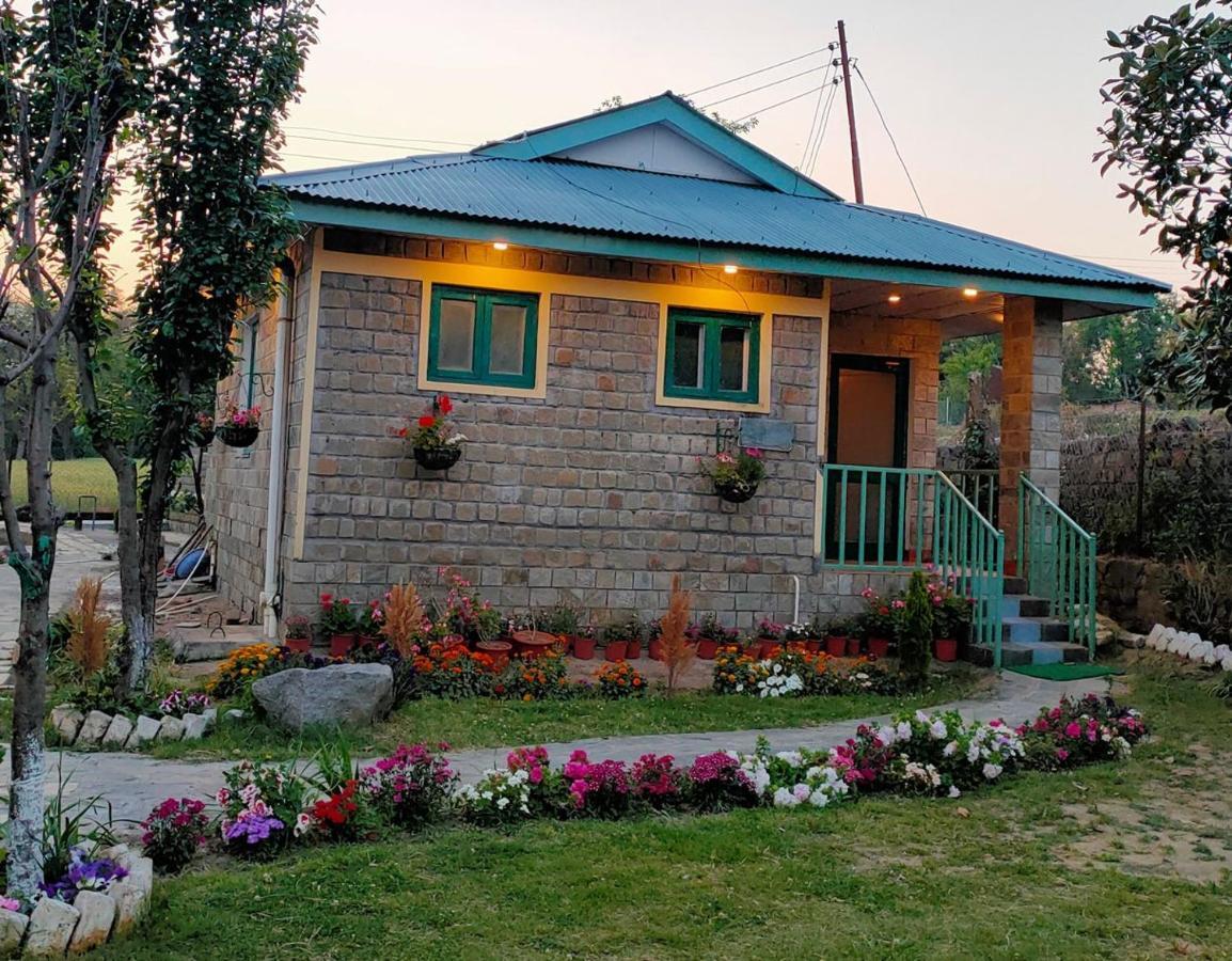 Nagri Resort Pālampur Exteriör bild