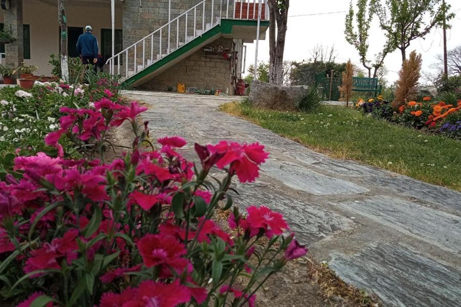 Nagri Resort Pālampur Exteriör bild