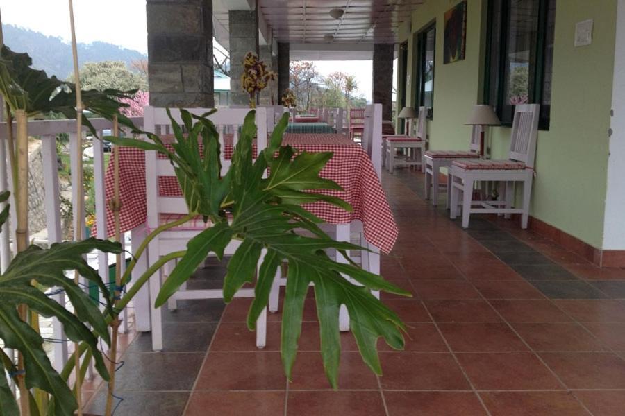 Nagri Resort Pālampur Exteriör bild