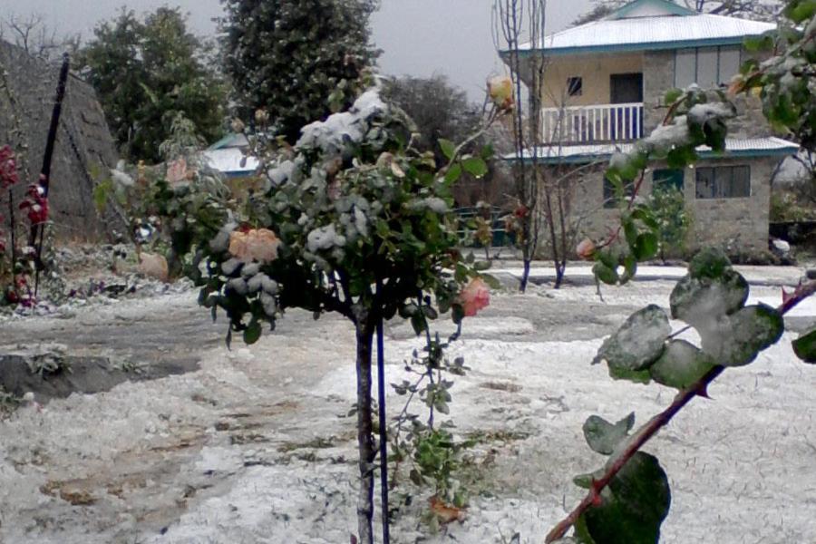 Nagri Resort Pālampur Exteriör bild