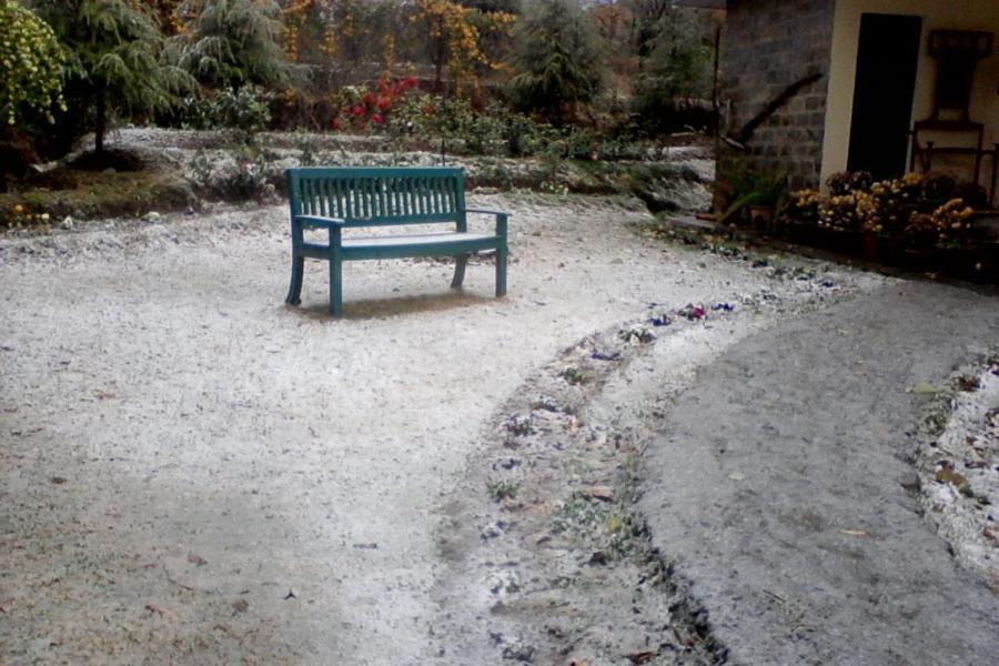 Nagri Resort Pālampur Exteriör bild