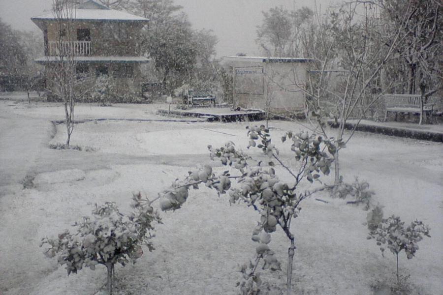 Nagri Resort Pālampur Exteriör bild