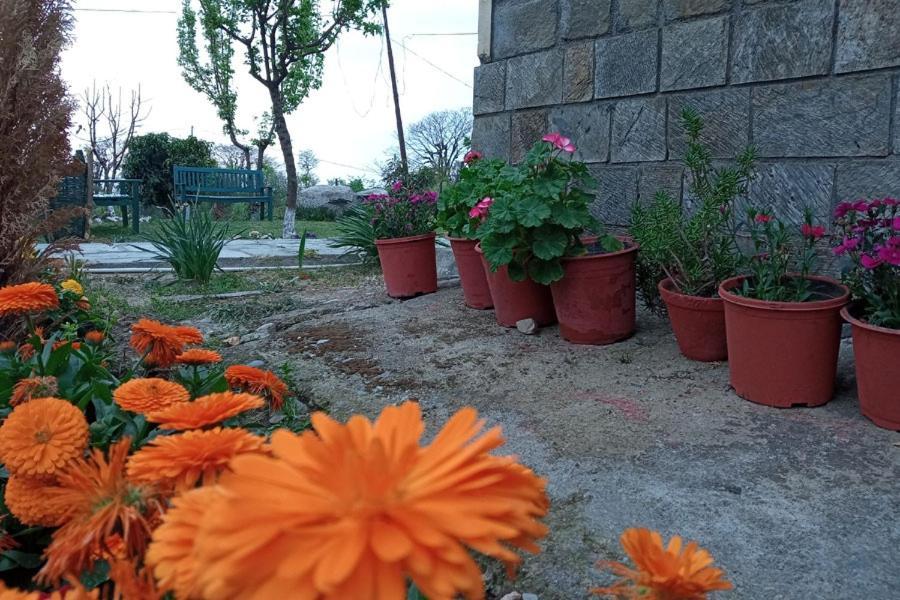 Nagri Resort Pālampur Exteriör bild
