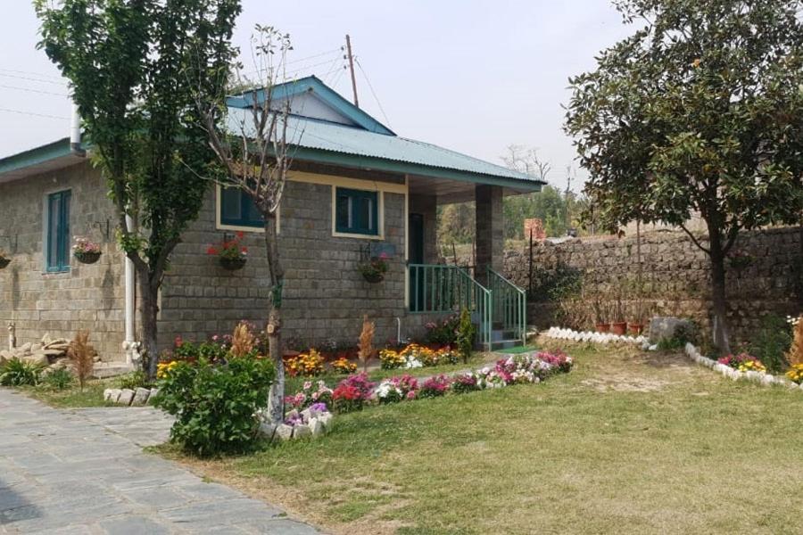 Nagri Resort Pālampur Exteriör bild