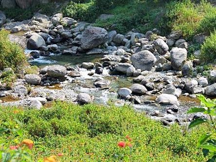 Nagri Resort Pālampur Exteriör bild